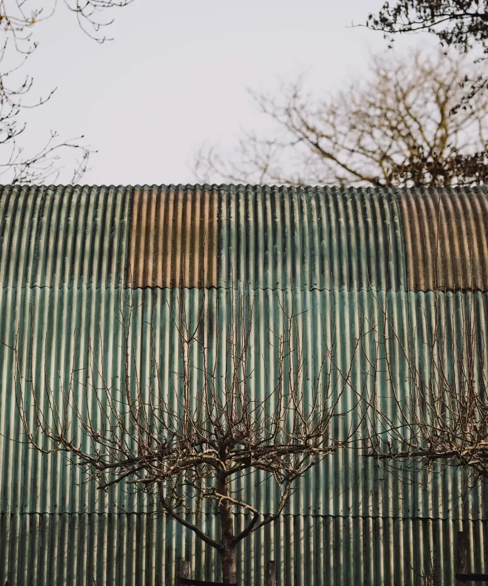 Groene golfplaten schuur met leiboom in Broek in Waterland