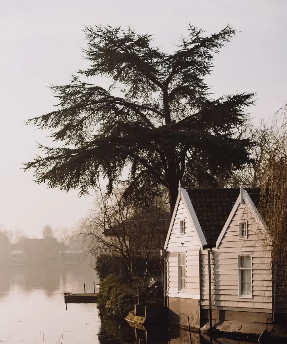 Houten huizen aan Havenrak Broek in Waterland